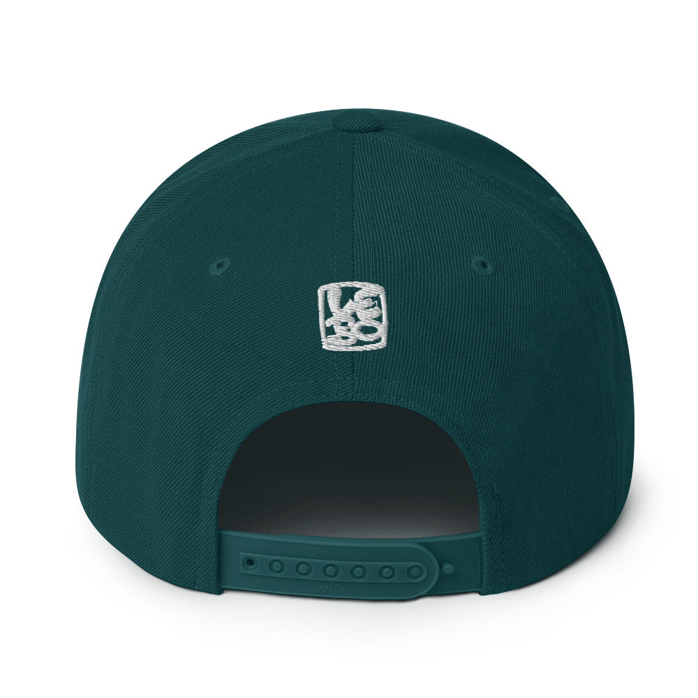You Don't Get the Show - Lebo Snapback Hat